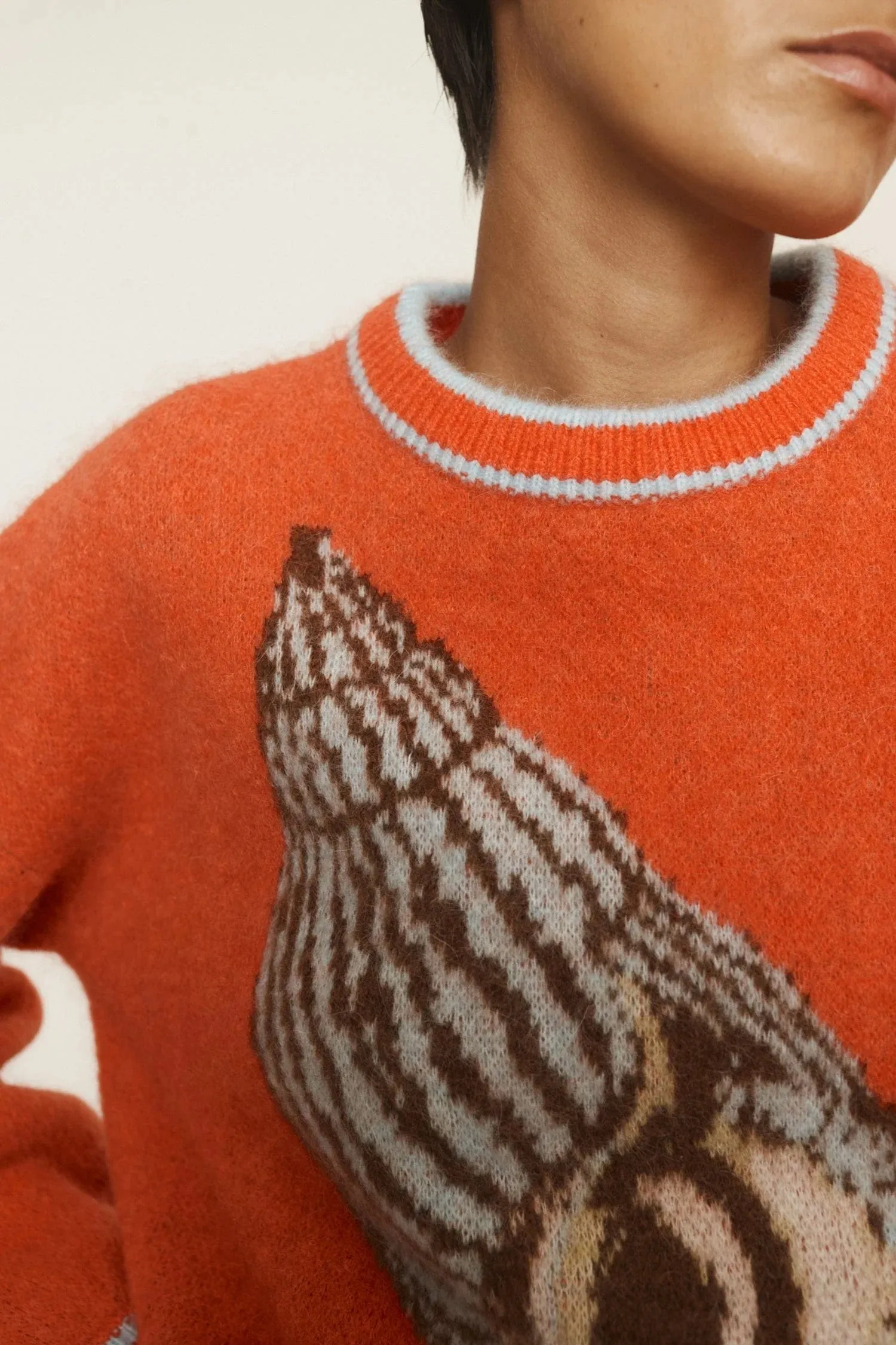 ALÉMAIS SEA STAR SHELL KNIT JUMPER