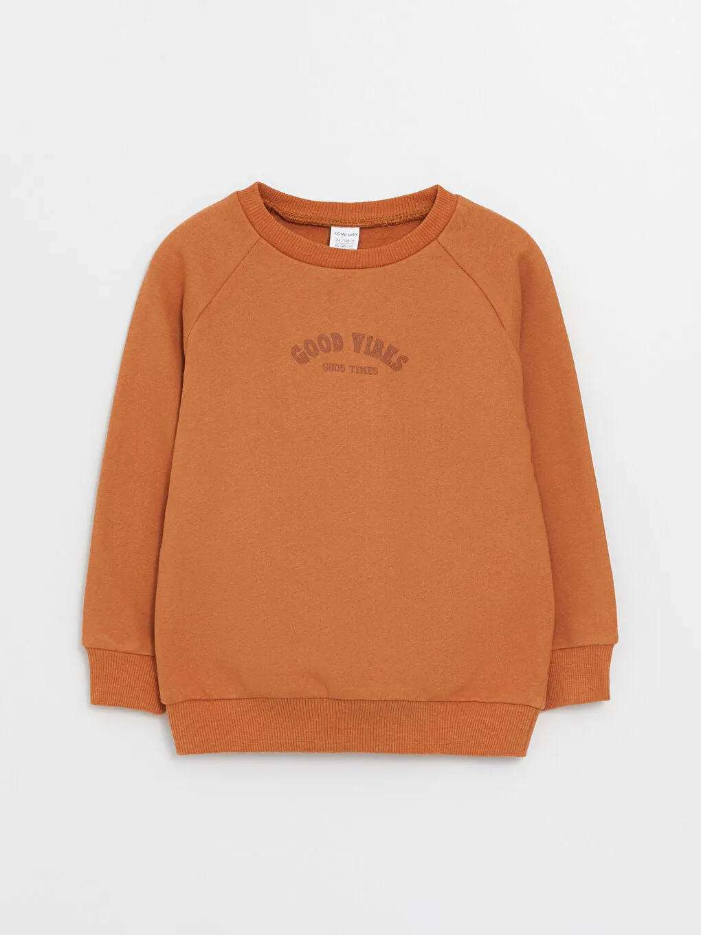 Crew Neck Long Sleeve Printed Baby Boy Sweatshirt