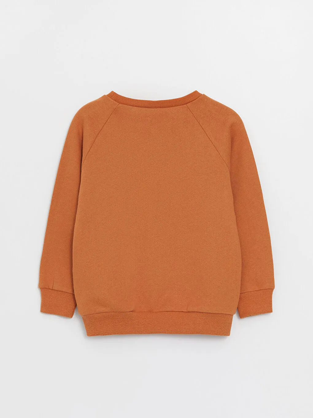 Crew Neck Long Sleeve Printed Baby Boy Sweatshirt