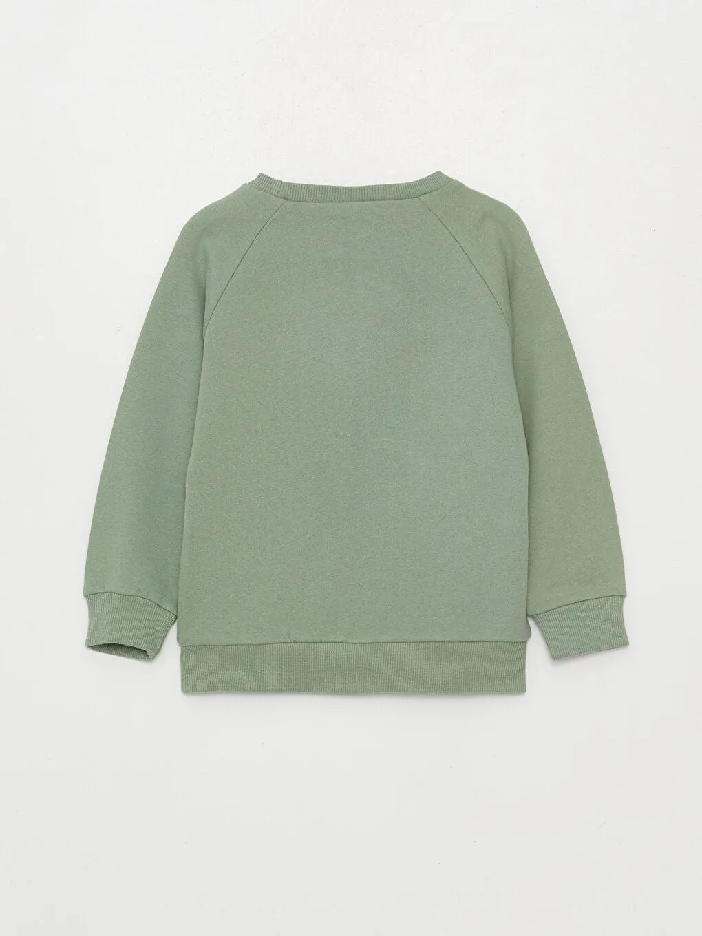 Crew Neck Long Sleeve Printed Baby Boy Sweatshirt