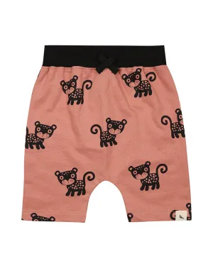 Cub shorts Terracotta