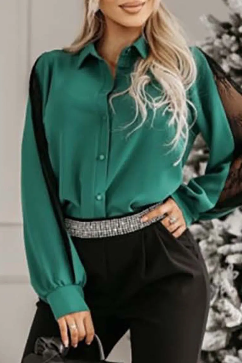 Elegant Solid Mesh Shirt Collar Tops