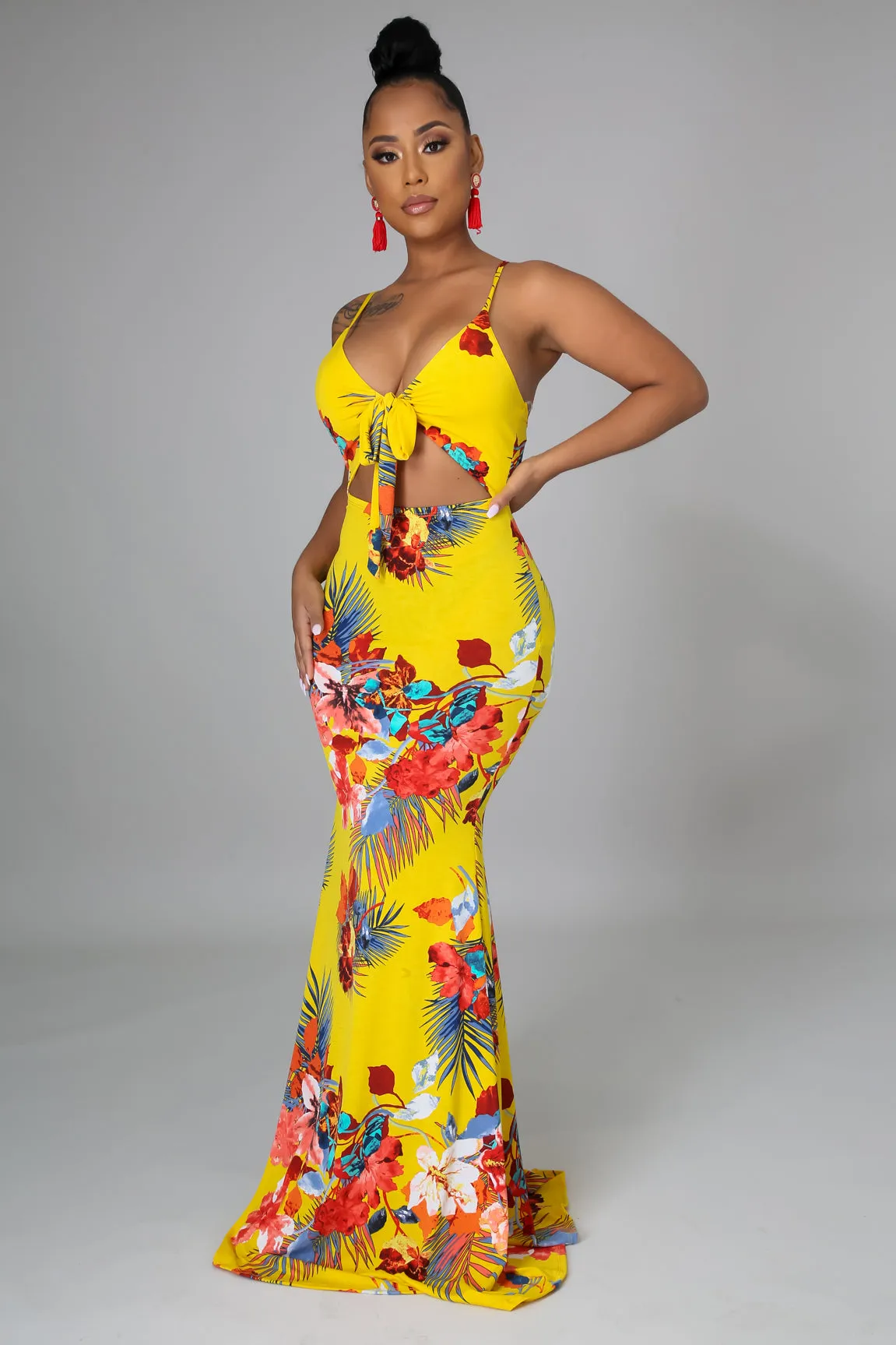 Gigi Lee Tropical Dress