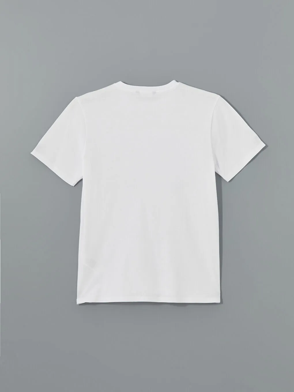 LCW Vision Ecru Crew Neck Printed Women T-Shirt