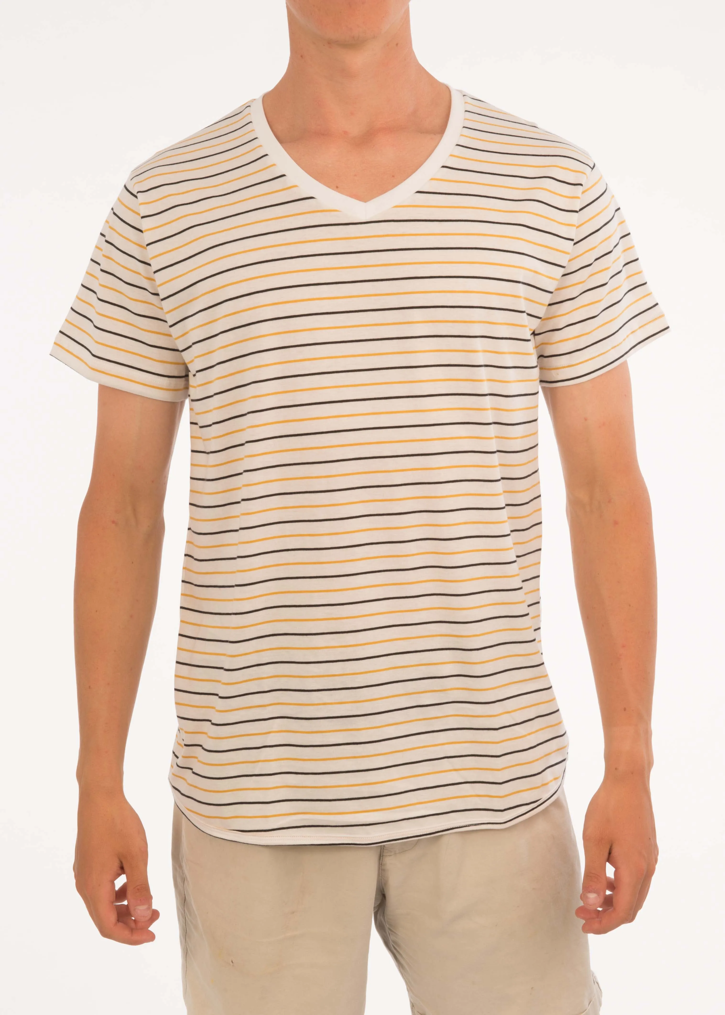 Small Stripe V-Neck Tee
