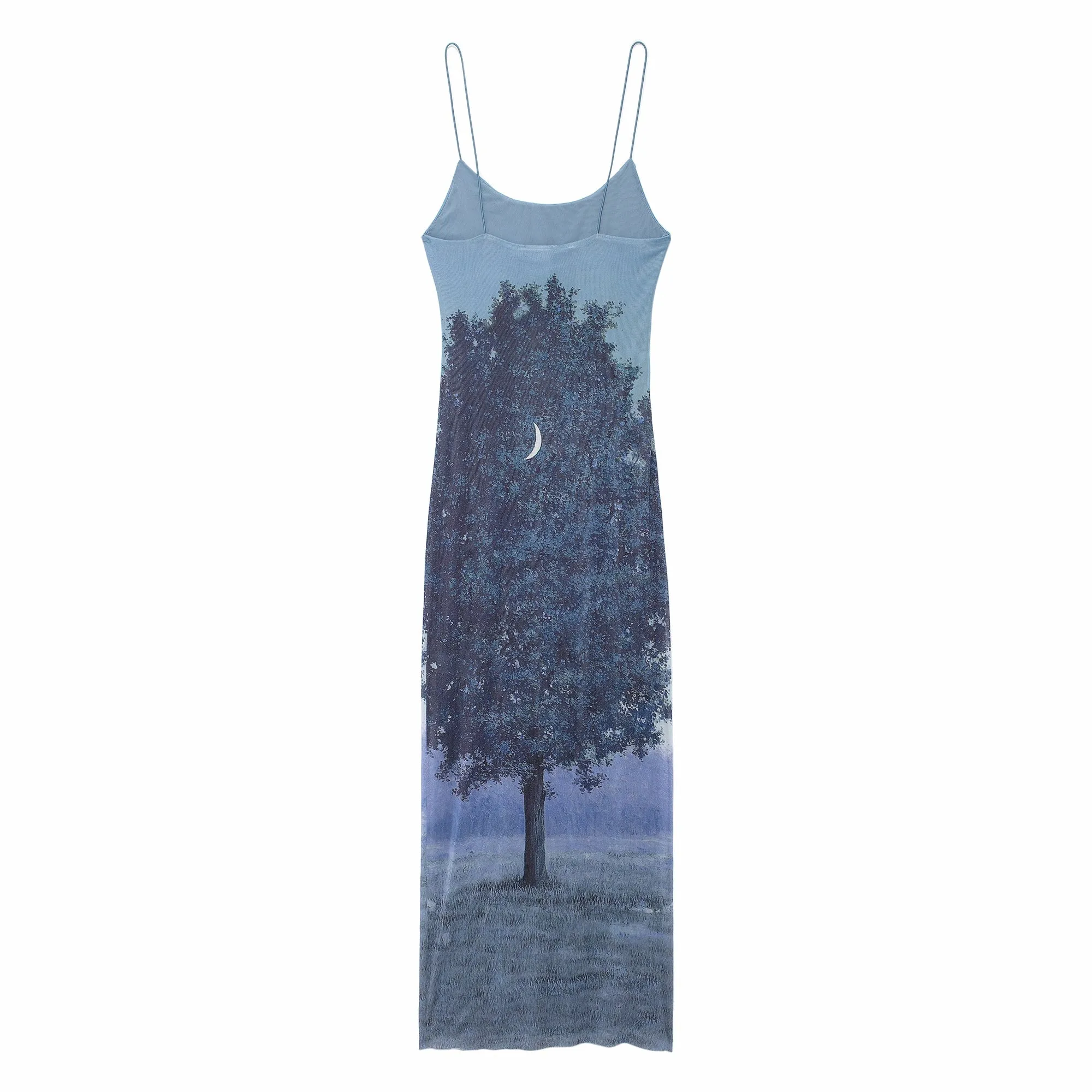 Spaghetti Strap Print Mesh Maxi Dress