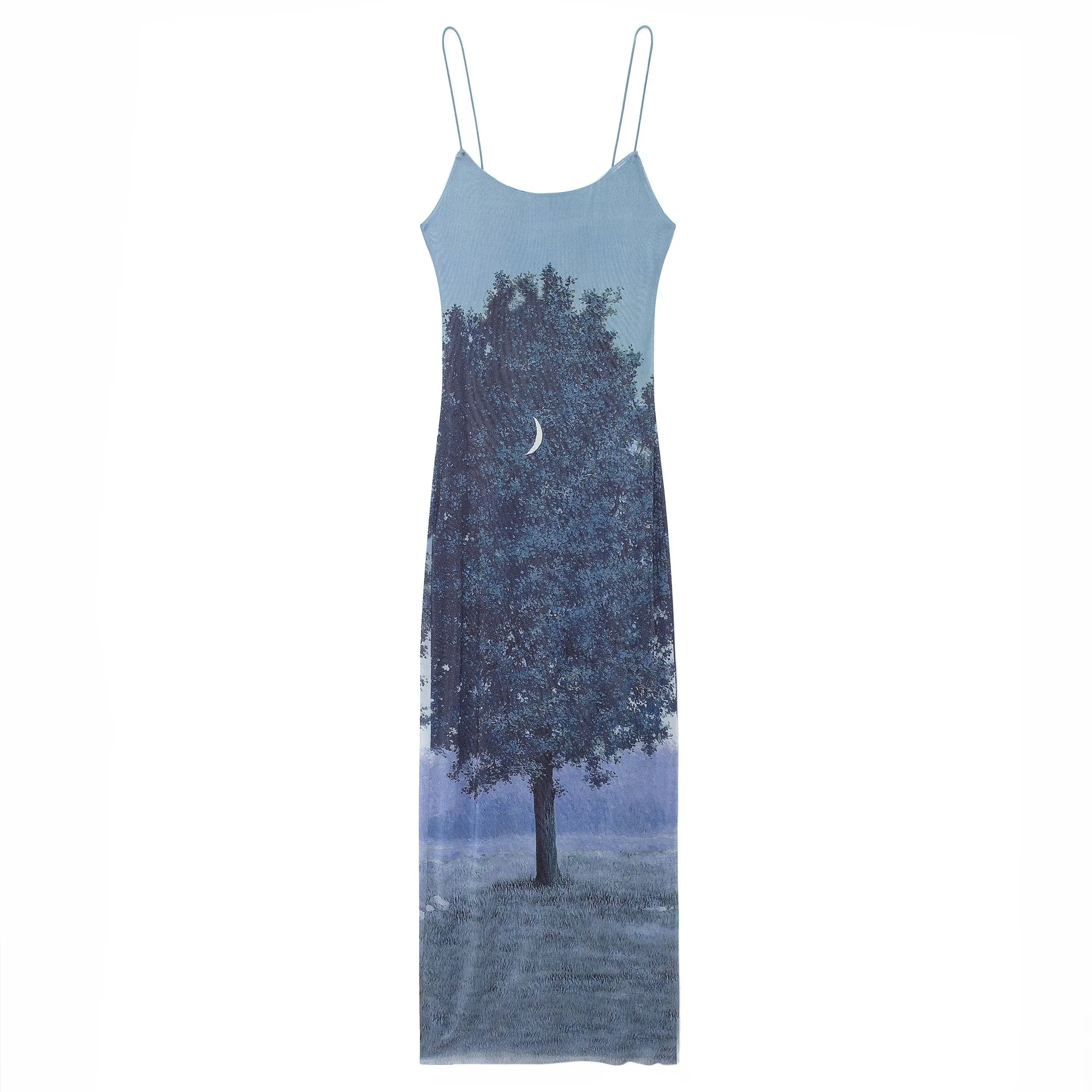 Spaghetti Strap Print Mesh Maxi Dress